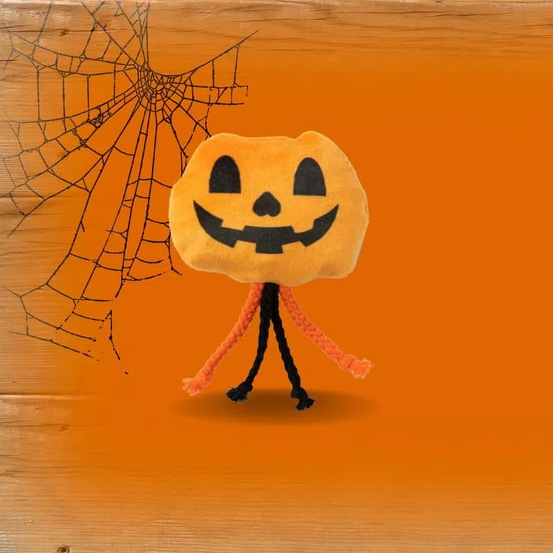 JOUET HALLOWEEN POUR CHAT À L’HERBE À CHAT - CITROUILLE 🎃