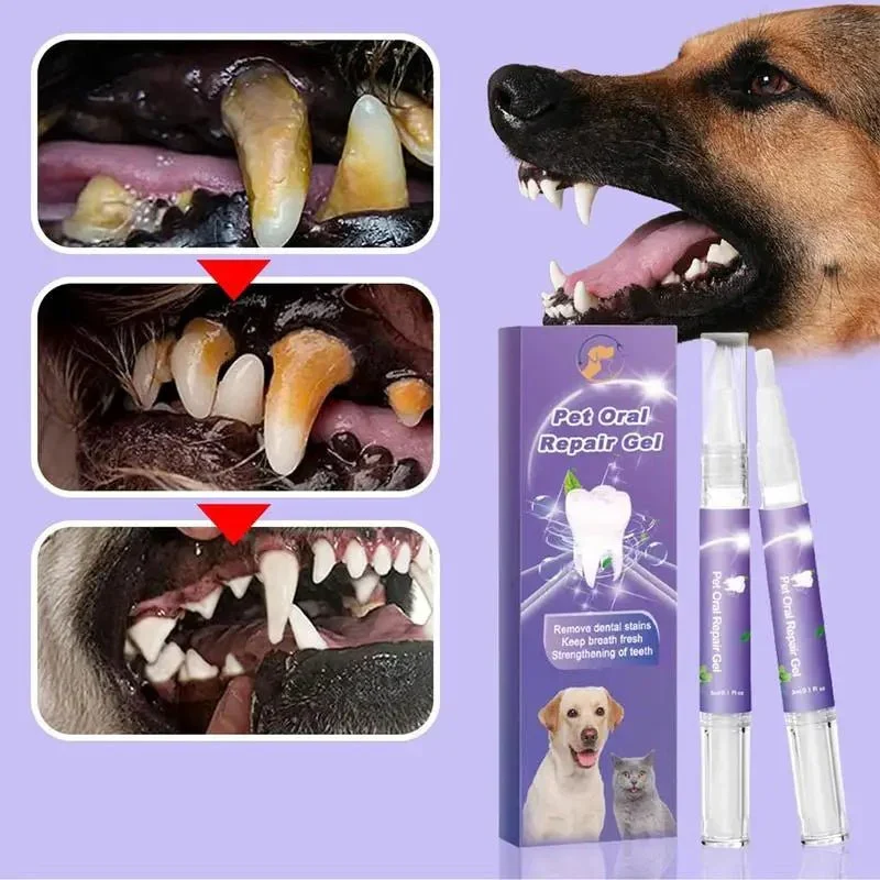 Spray Anti-Tartre Hygiène Dentaire Gros Chien