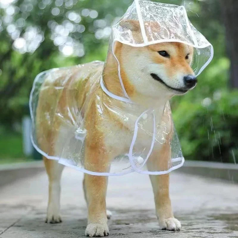 K-Way Transparent Imperméable Gros Chien