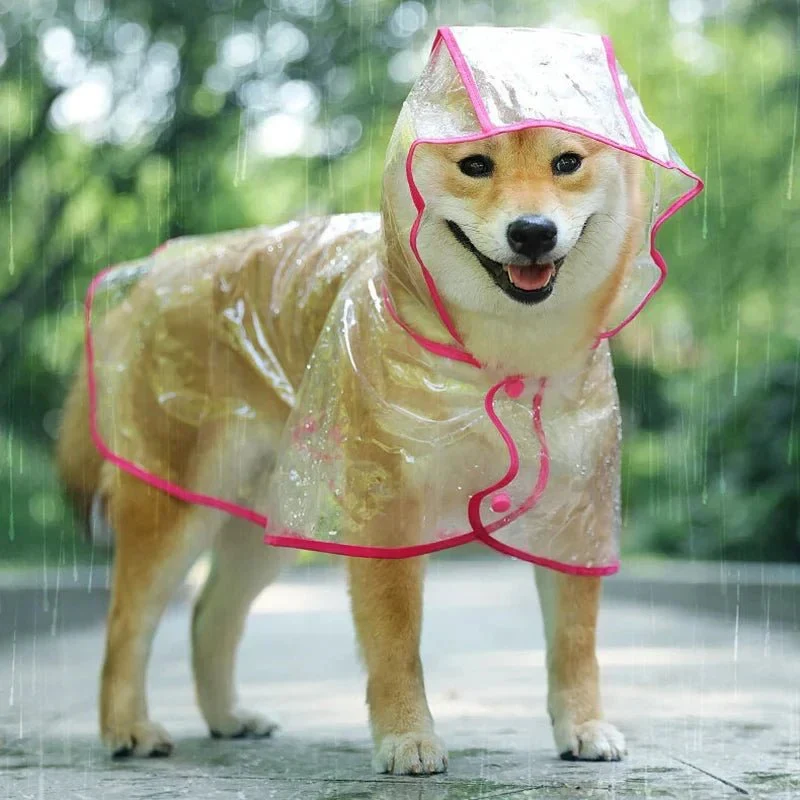 K-Way Transparent Imperméable Gros Chien