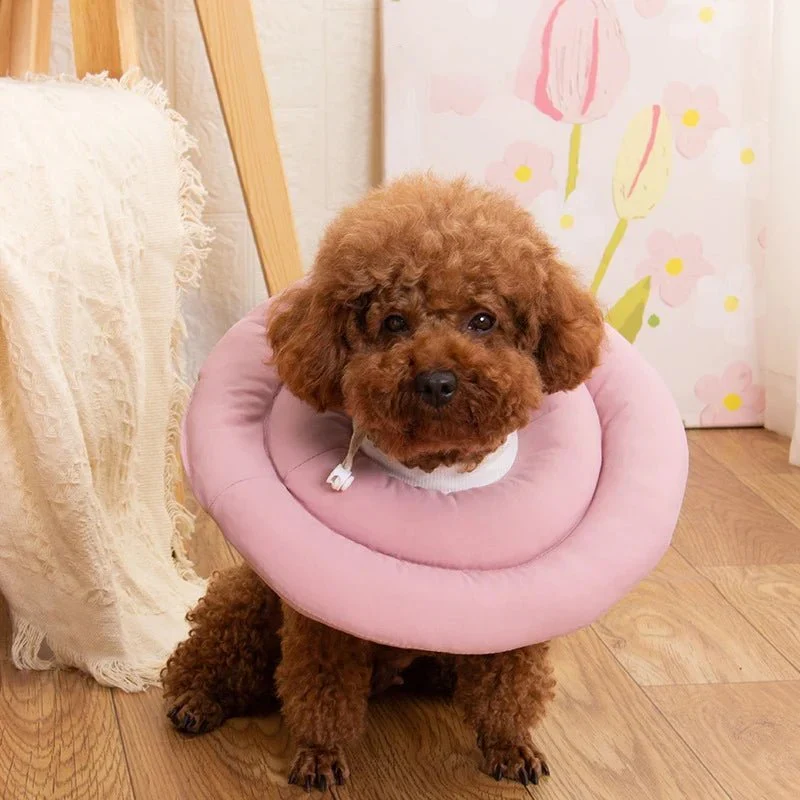Collerette Gonflable Ajustable Gros Chien Post-Opératoire