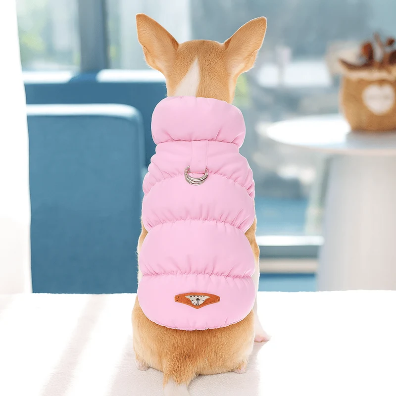 Manteau Imperméable Polaire Petit Gros Chien
