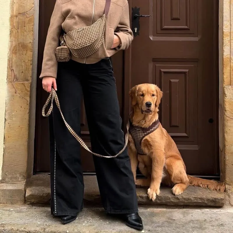 LAISSE POUR CHIEN TISSU - CARREAUX "COTSWOLD CHECK"