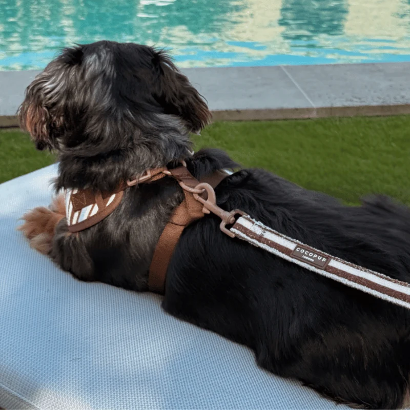 LAISSE POUR CHIEN TISSU ÉPONGE - RAYURES "BROWN & BLUE STRIPES"