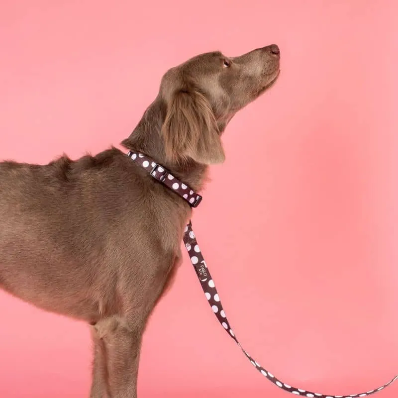 COLLIER POUR CHIEN TISSU - POLKA DOTS