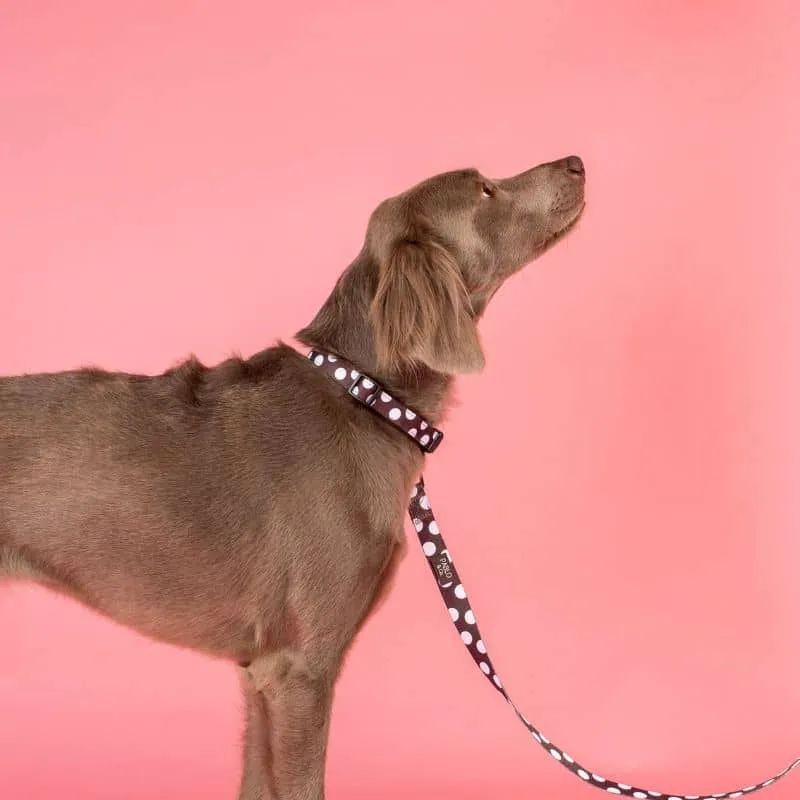 LAISSE POUR CHIEN TISSU - POLKA DOTS
