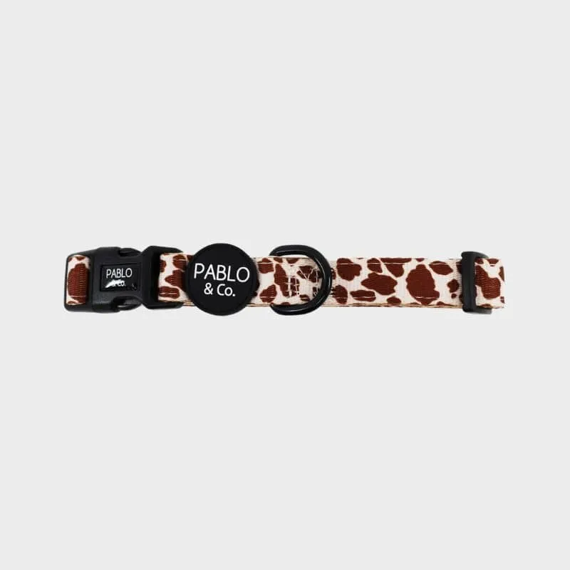 COLLIER POUR CHIEN TISSU - "RODEO"