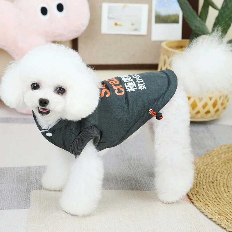 Manteau Coupe-Vent à Capuche pour Chien Petit à Grand
