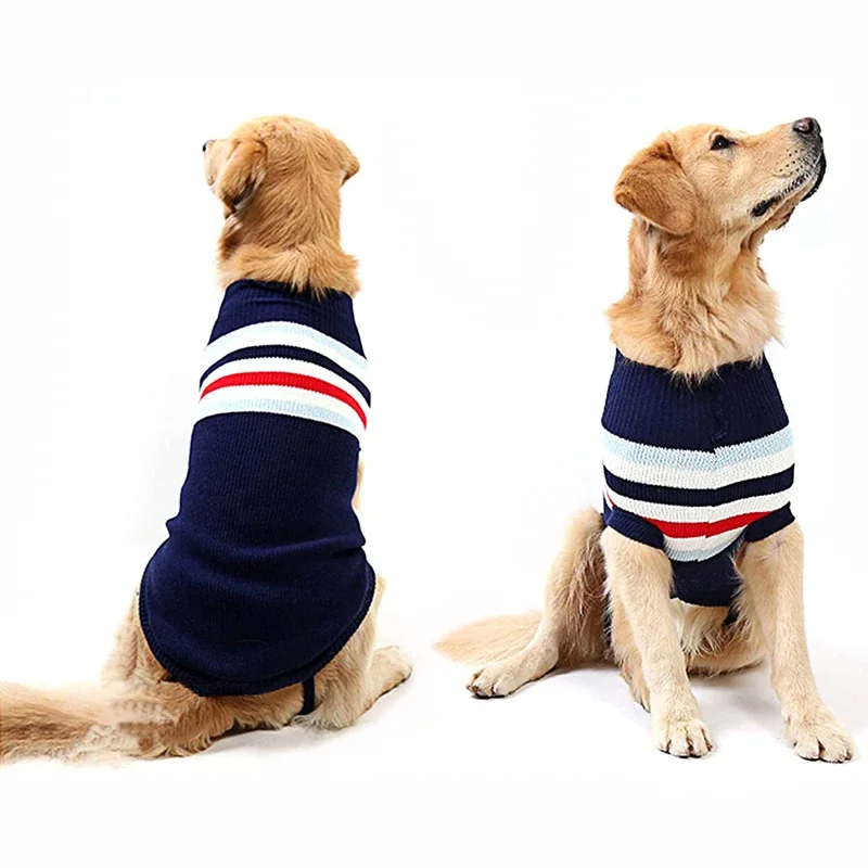 Pull pour Chien Col Roulé Tricot Rayé Rennes