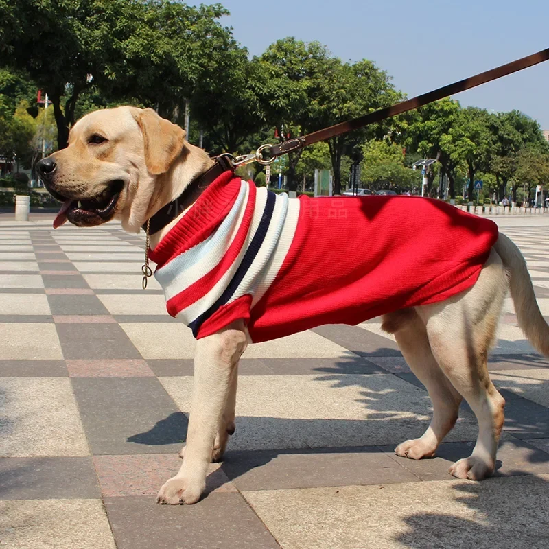 Pull pour Chien Col Roulé Tricot Rayé Rennes