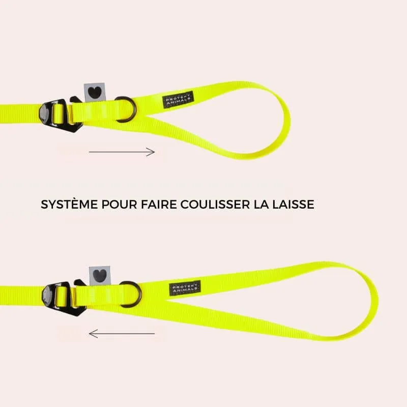 LONGE POUR CHIEN NÉON JAUNE - 3 OU 5 MÈTRES
