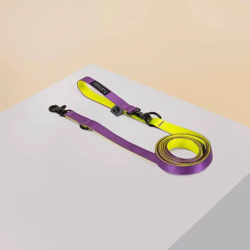 LAISSE MULTIPOSITIONS POUR CHIEN - DUO NÉON JAUNE ET VIOLET