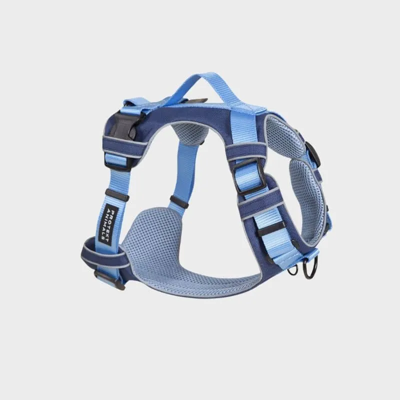 HARNAIS HAUTE VISIBILITÉ AVEC POIGNÉE POUR CHIEN - NÉON BLEU & NAVY