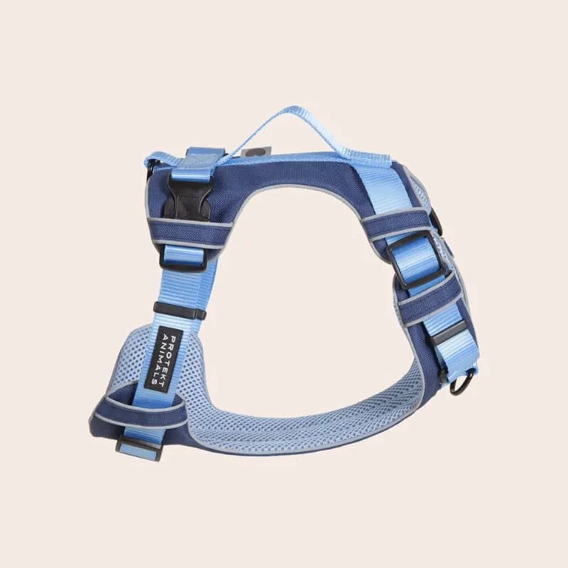 HARNAIS HAUTE VISIBILITÉ AVEC POIGNÉE POUR CHIEN - NÉON BLEU & NAVY