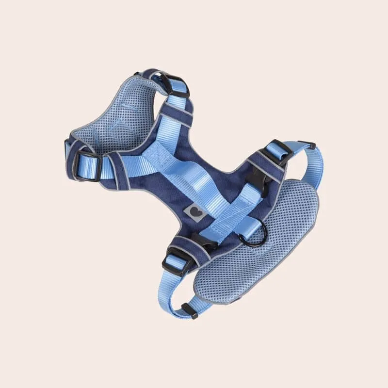 HARNAIS HAUTE VISIBILITÉ AVEC POIGNÉE POUR CHIEN - NÉON BLEU & NAVY