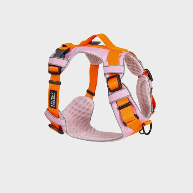 HARNAIS HAUTE VISIBILITÉ AVEC POIGNÉE POUR CHIEN - NÉON ORANGE & ROSE