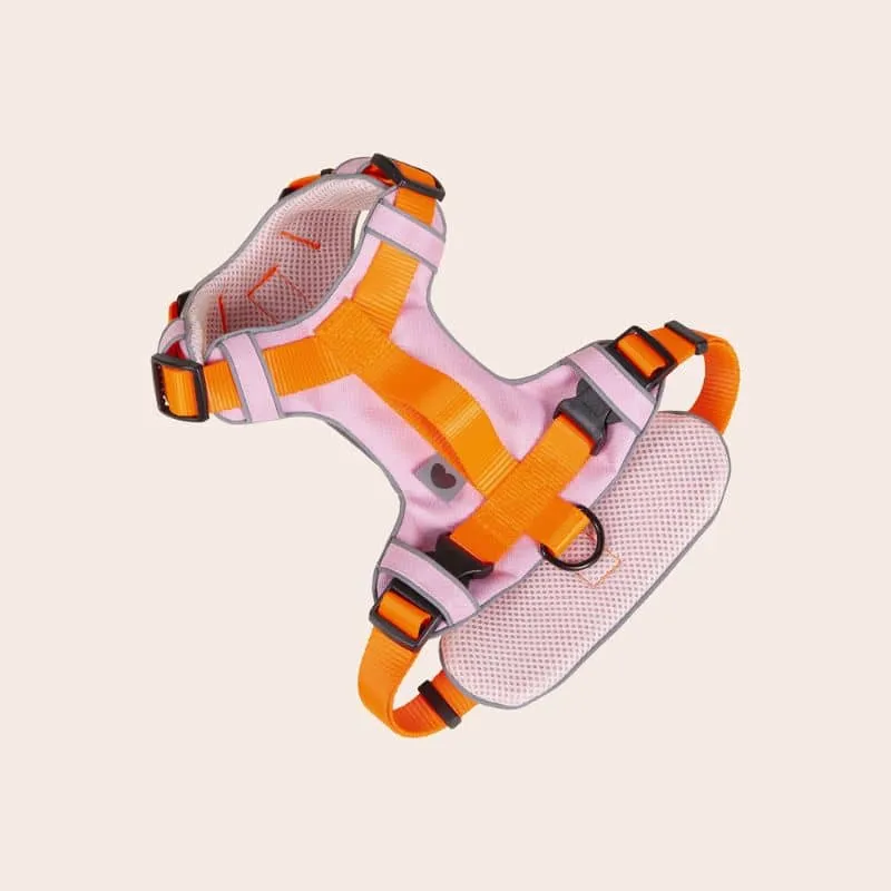 HARNAIS HAUTE VISIBILITÉ AVEC POIGNÉE POUR CHIEN - NÉON ORANGE & ROSE