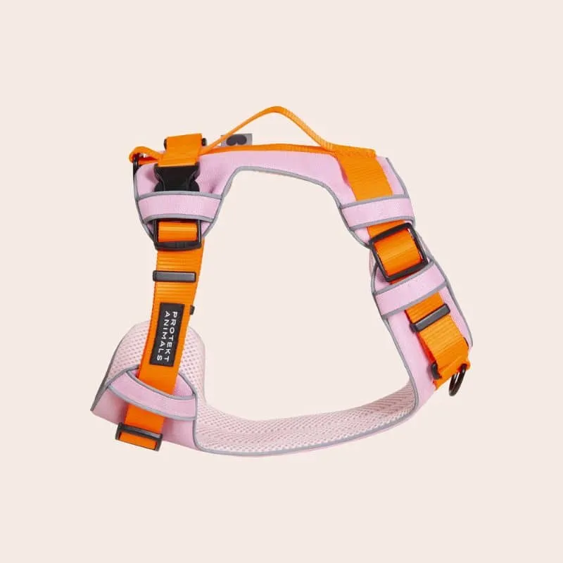 HARNAIS HAUTE VISIBILITÉ AVEC POIGNÉE POUR CHIEN - NÉON ORANGE & ROSE
