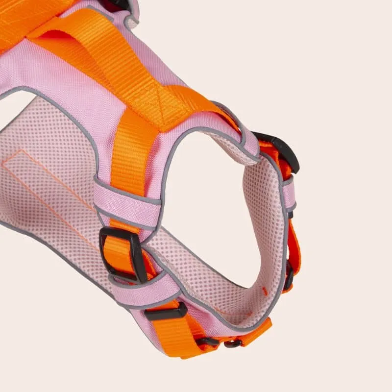 HARNAIS HAUTE VISIBILITÉ AVEC POIGNÉE POUR CHIEN - NÉON ORANGE & ROSE