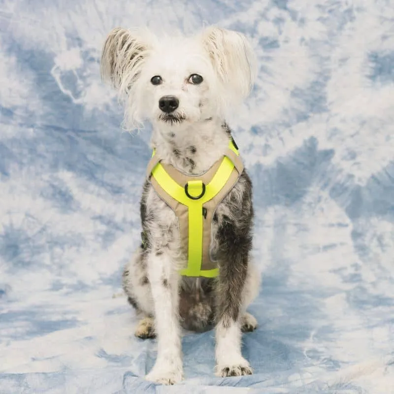 HARNAIS HAUTE VISIBILITÉ AVEC POIGNÉE POUR CHIEN - NÉON JAUNE & BEIGE