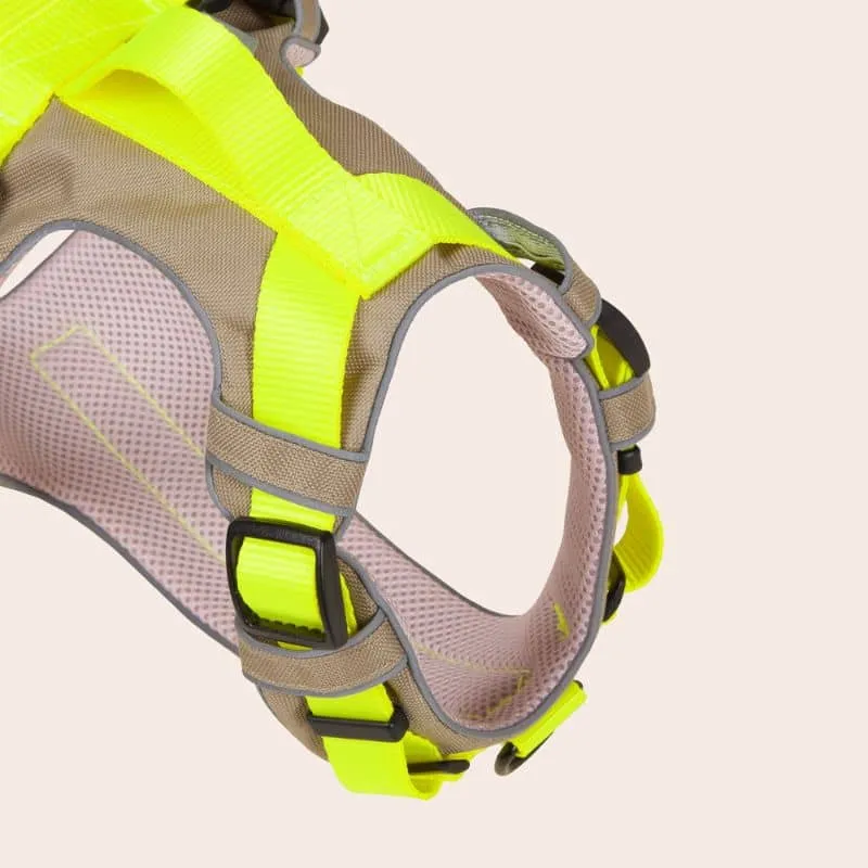 HARNAIS HAUTE VISIBILITÉ AVEC POIGNÉE POUR CHIEN - NÉON JAUNE & BEIGE