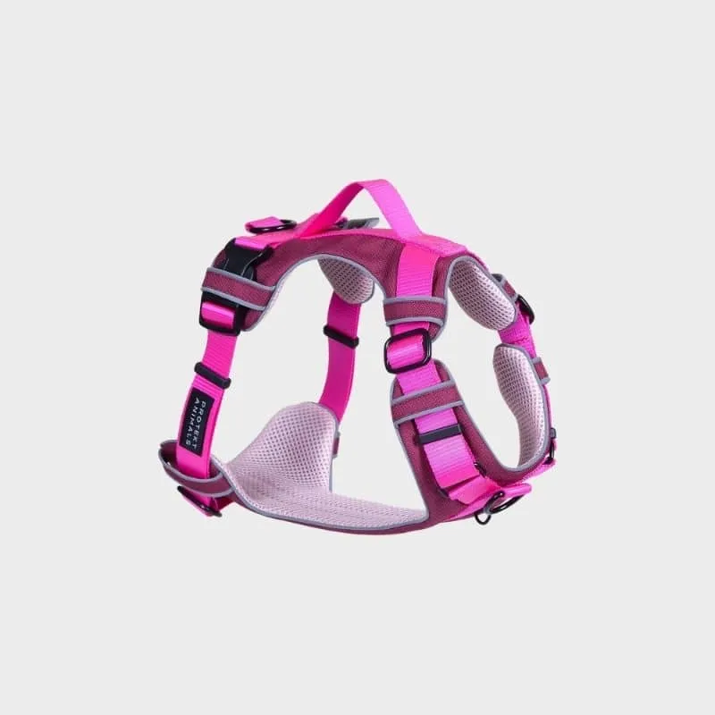 HARNAIS HAUTE VISIBILITÉ AVEC POIGNÉE POUR CHIEN - NÉON ROSE * ÉDITION LIMITÉE LOVE