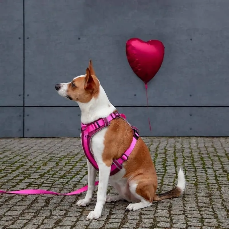 HARNAIS HAUTE VISIBILITÉ AVEC POIGNÉE POUR CHIEN - NÉON ROSE * ÉDITION LIMITÉE LOVE
