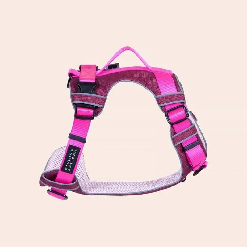 HARNAIS HAUTE VISIBILITÉ AVEC POIGNÉE POUR CHIEN - NÉON ROSE * ÉDITION LIMITÉE LOVE