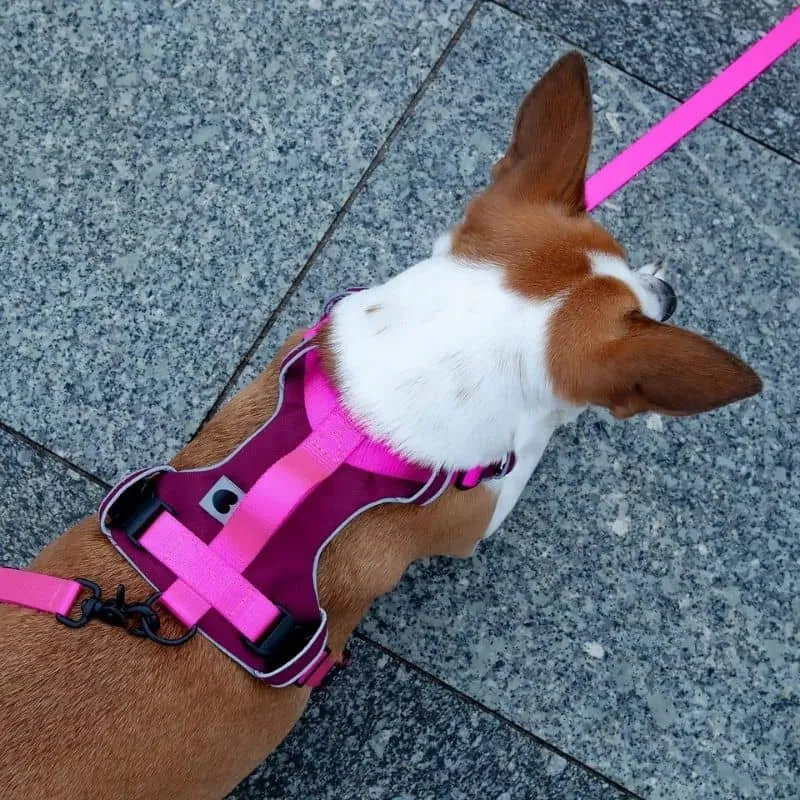 HARNAIS HAUTE VISIBILITÉ AVEC POIGNÉE POUR CHIEN - NÉON ROSE * ÉDITION LIMITÉE LOVE