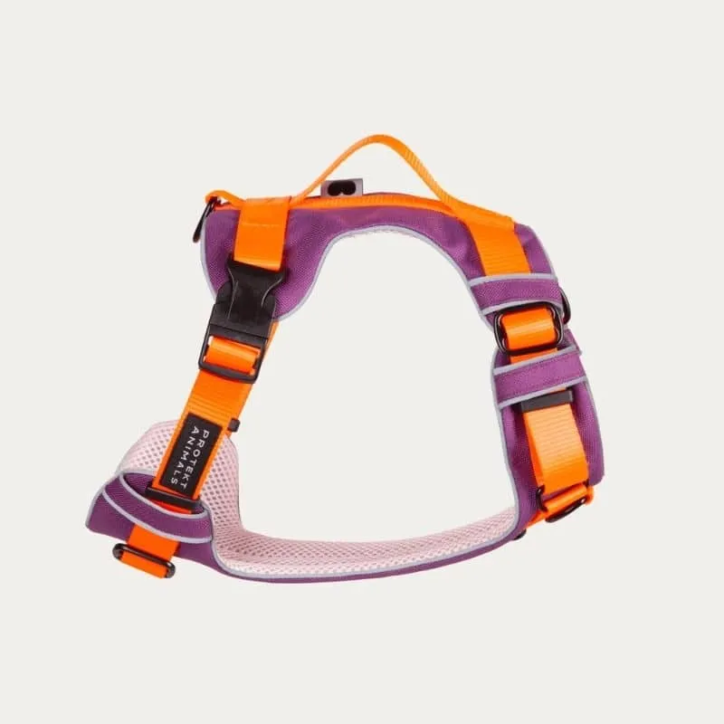 HARNAIS HAUTE VISIBILITÉ AVEC POIGNÉE POUR CHIEN - NÉON ORANGE & VIOLET * ÉDITION LIMITÉE AUTUMN