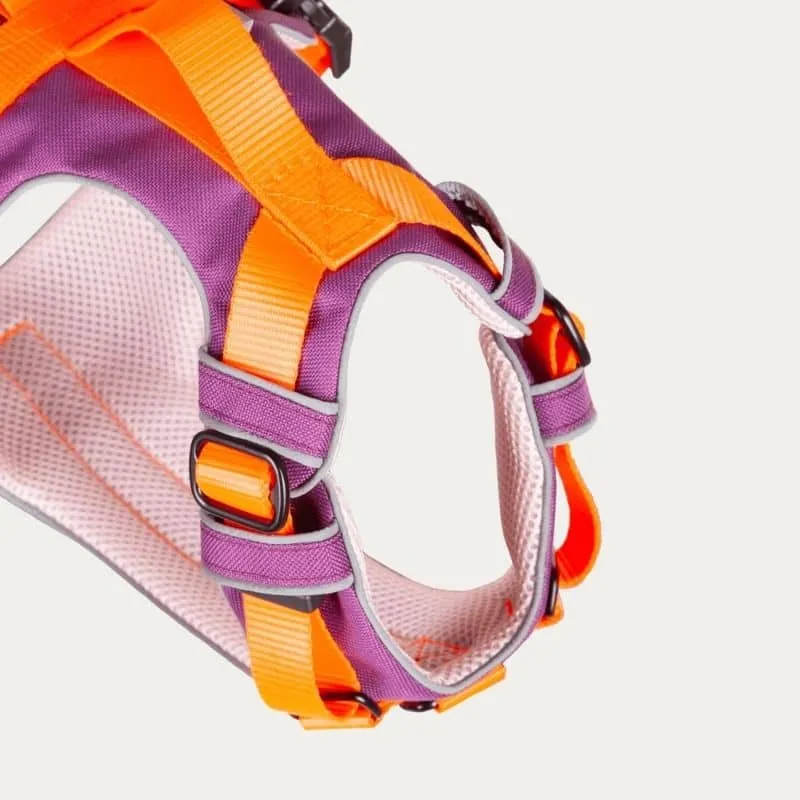 HARNAIS HAUTE VISIBILITÉ AVEC POIGNÉE POUR CHIEN - NÉON ORANGE & VIOLET * ÉDITION LIMITÉE AUTUMN