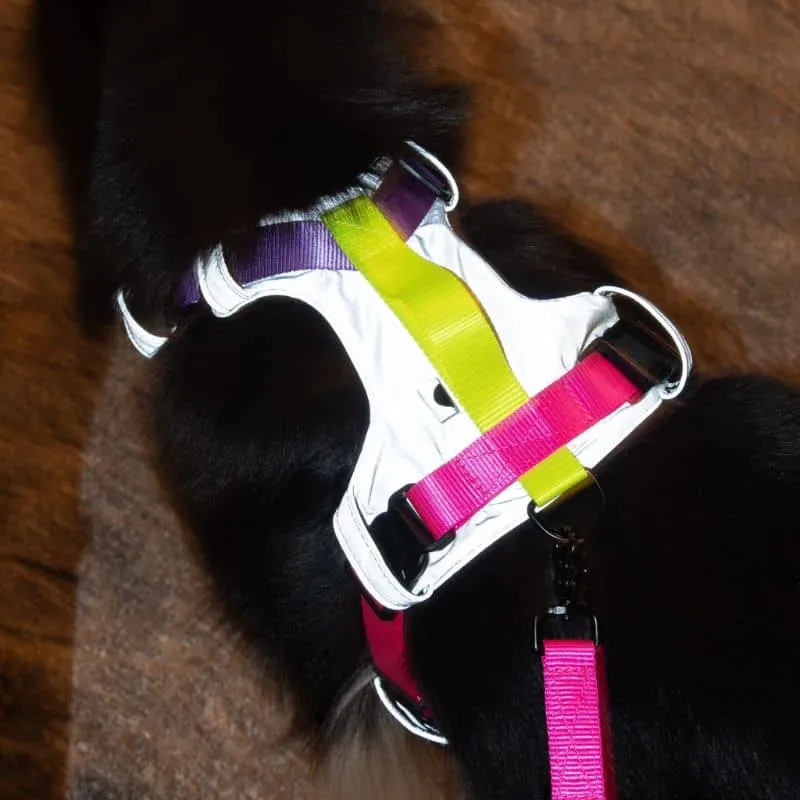 HARNAIS HAUTE VISIBILITÉ AVEC POIGNÉE POUR CHIEN - RÉFLÉCHISSANT FLASH 3 (VIOLET & ROSE)
