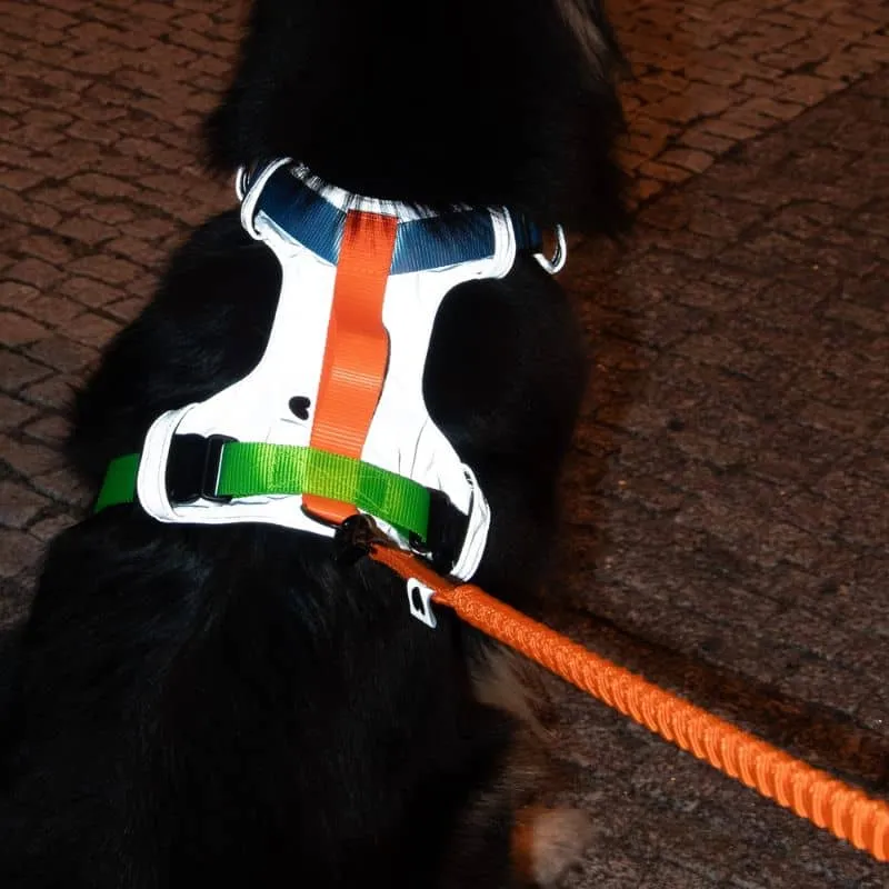 HARNAIS HAUTE VISIBILITÉ AVEC POIGNÉE POUR CHIEN - RÉFLÉCHISSANT FLASH 4 (BLEU & VERT)