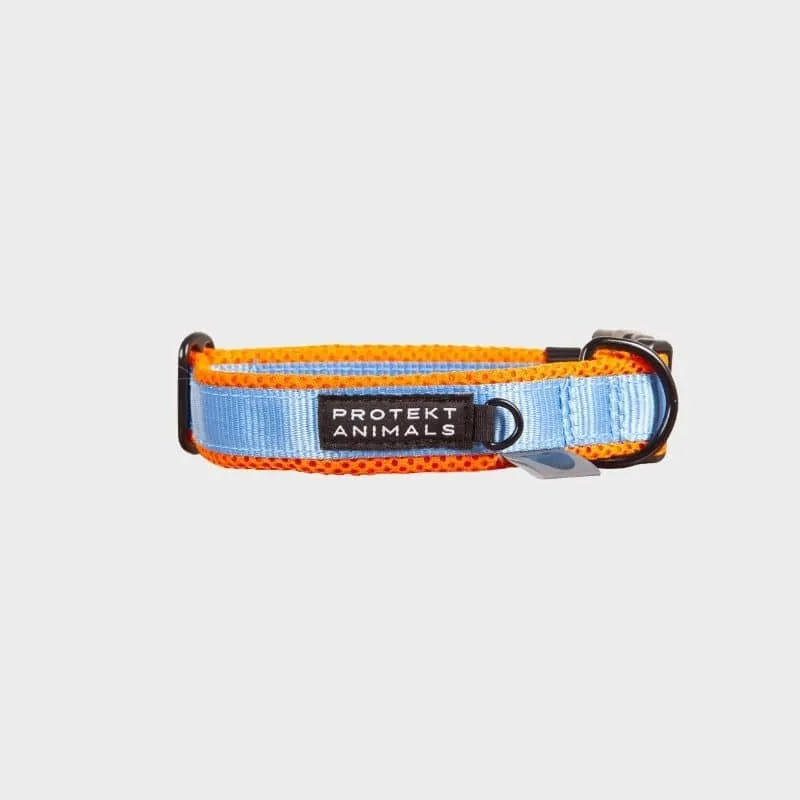 COLLIER REMBOURRÉ POUR CHIEN - COMFI NÉON BLEU