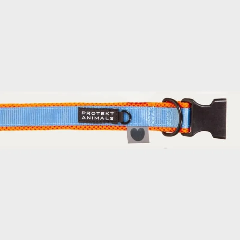 COLLIER REMBOURRÉ POUR CHIEN - COMFI NÉON BLEU