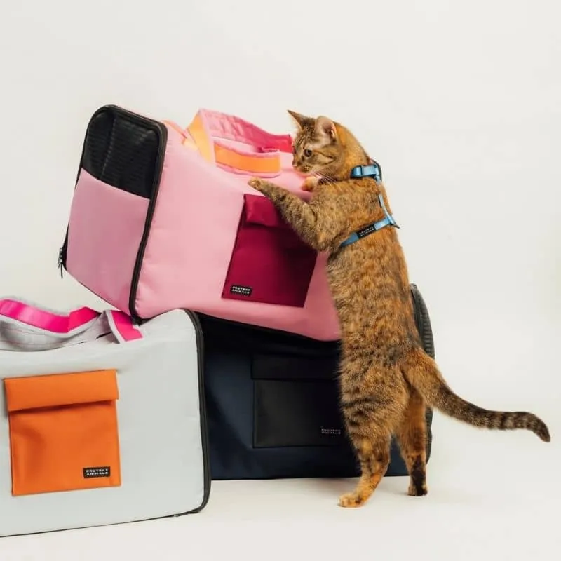 SAC DE TRANSPORT POUR CHIEN ET CHAT <15 kg - HOMIE (DISPO EN 3 COULEURS)
