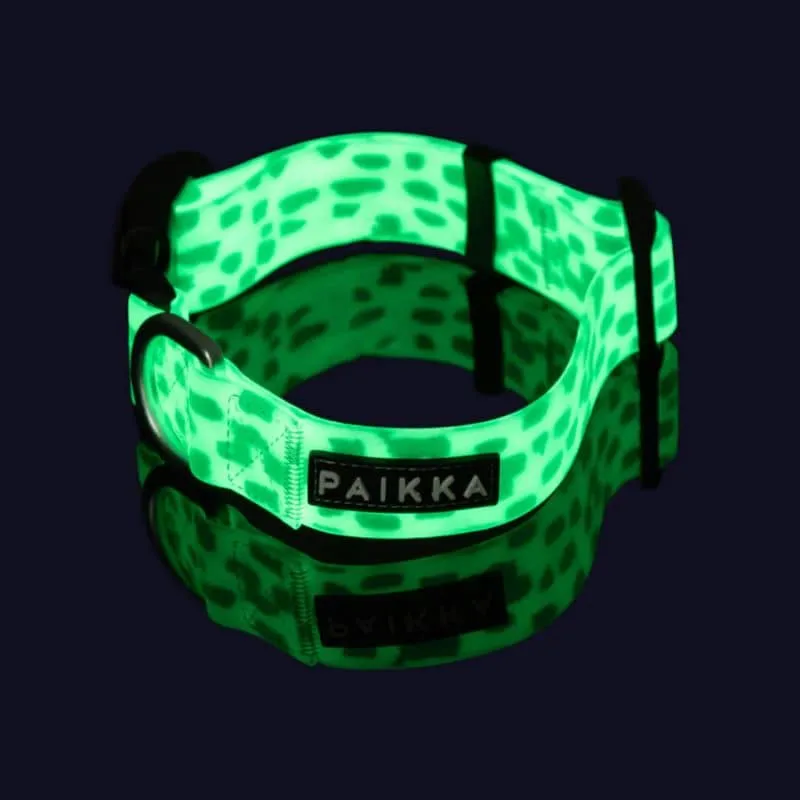 COLLIER POUR CHIEN WATERPROOF - PHOSPHORESCENT