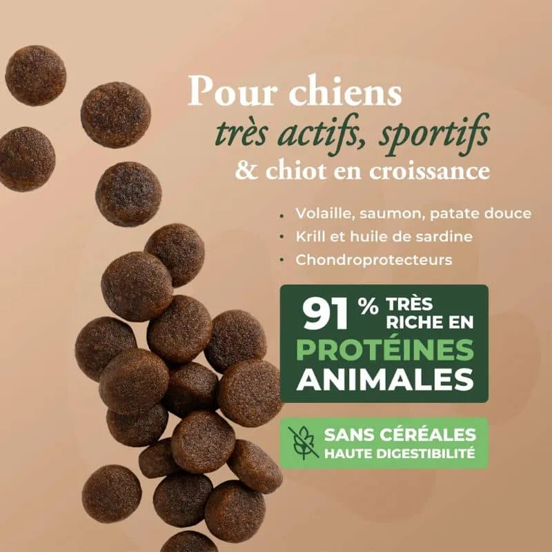 CROQUETTES POUR CHIEN WOLFOOD - HIGH MEAT WILD PRAIRIE (VOLAILLE)