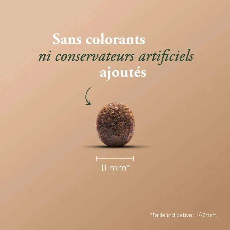 CROQUETTES POUR CHIEN WOLFOOD - HIGH MEAT WILD PRAIRIE (VOLAILLE)
