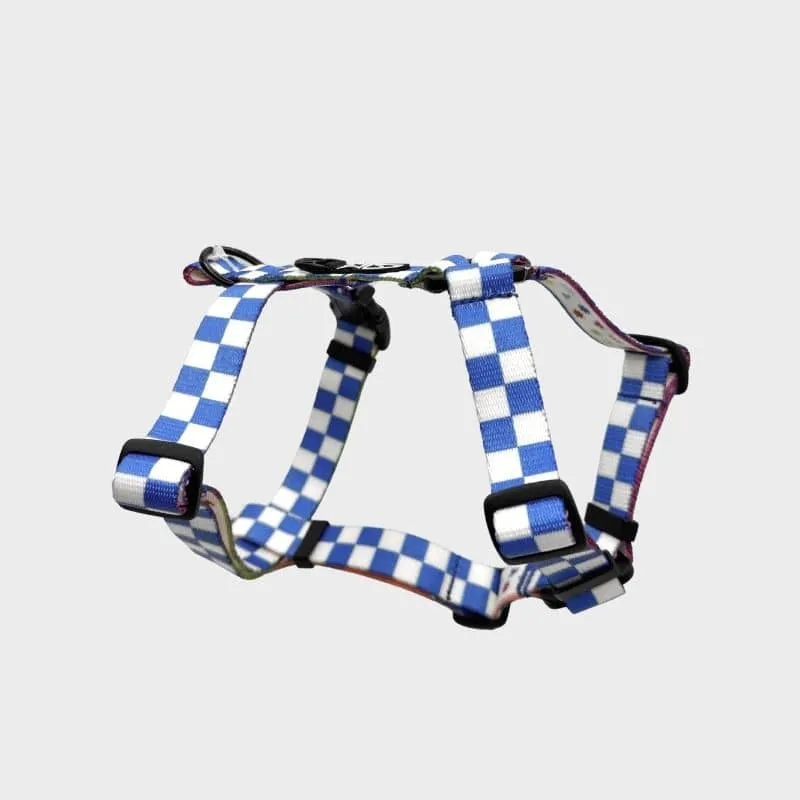 HARNAIS POUR CHIEN FAIT EN EUROPE 🇪🇺 - ARE WE SQUARE 🟦⬜️