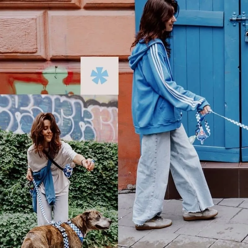 LAISSE MULTIPOSITIONS POUR CHIEN FAITE EN EUROPE 🇪🇺 - ARE WE SQUARE 🟦⬜️