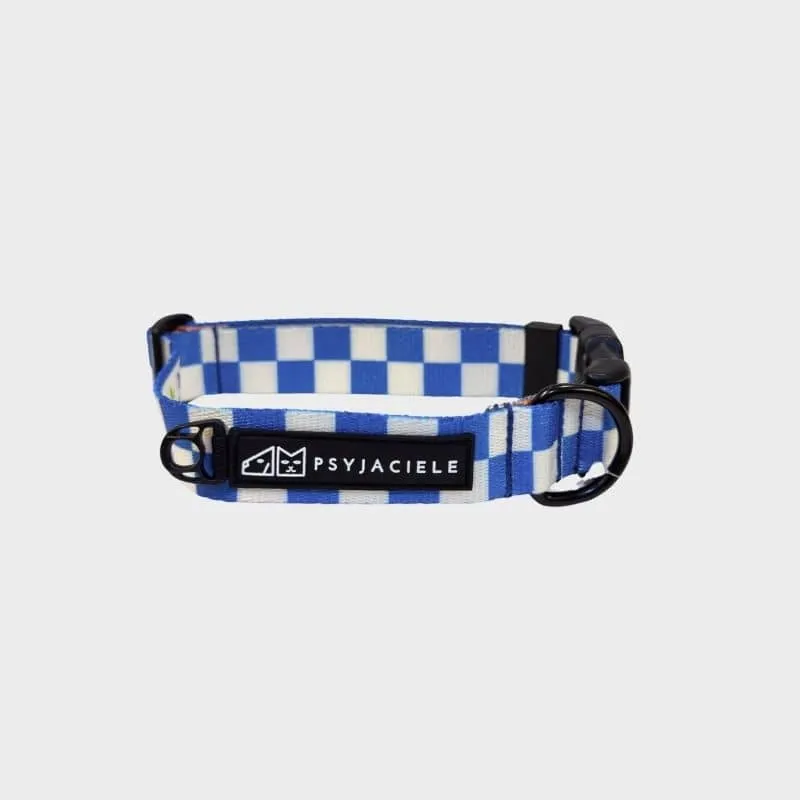 COLLIER POUR CHIEN FAIT EN EUROPE 🇪🇺 - ARE WE SQUARE 🟦⬜️