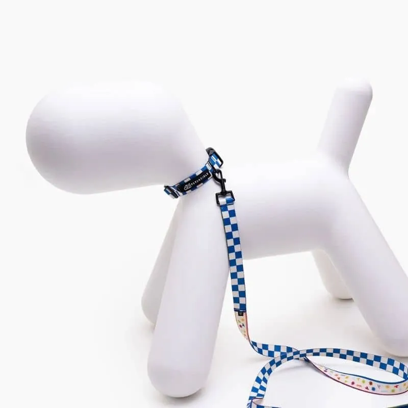 COLLIER POUR CHIEN FAIT EN EUROPE 🇪🇺 - ARE WE SQUARE 🟦⬜️