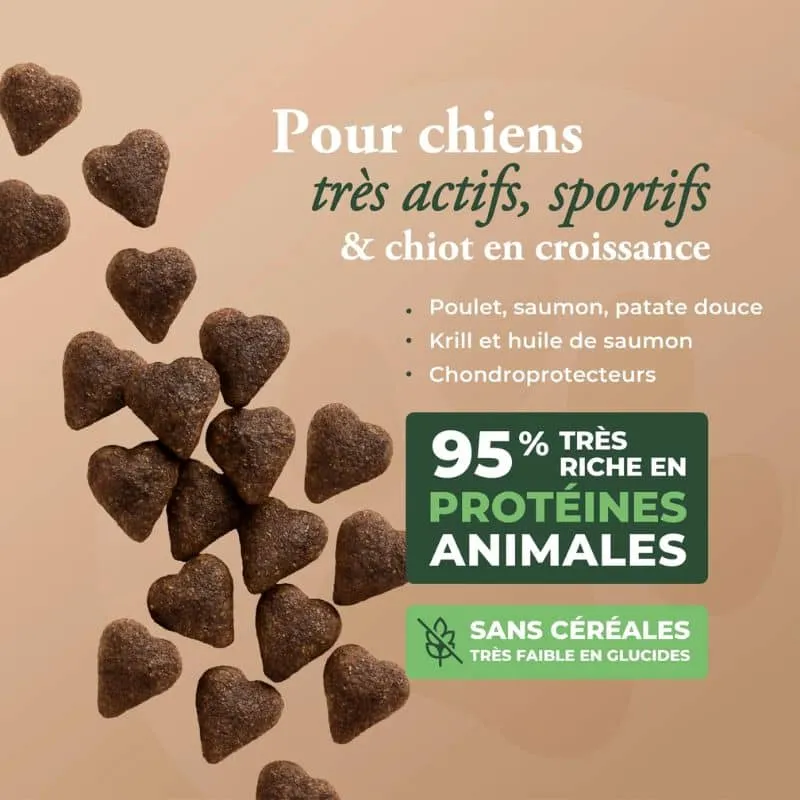 CROQUETTES POUR CHIEN WOLFOOD - ORIGINAL HIGH MEAT (VOLAILLE)