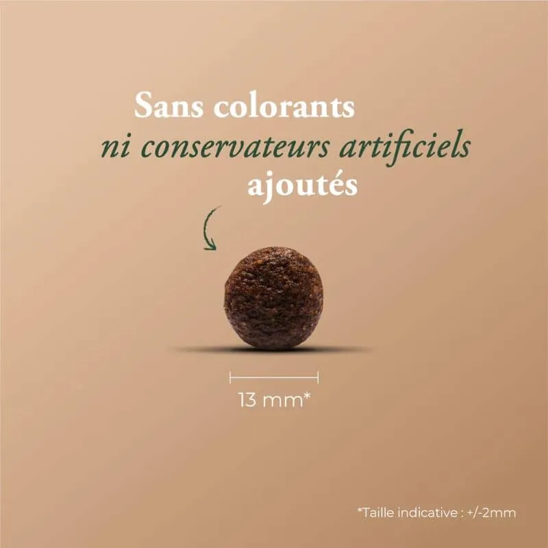 CROQUETTES POUR CHIEN WOLFOOD - SENSITIVE (AGNEAU ET SAUMON)