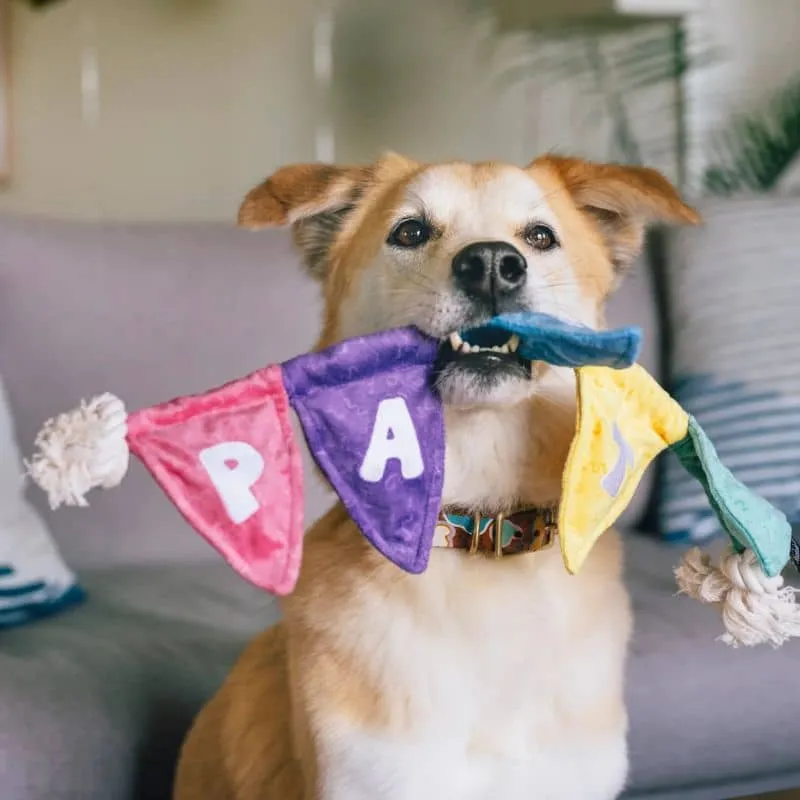 PELUCHE POUR CHIEN - GUIRLANDE DE FANIONS