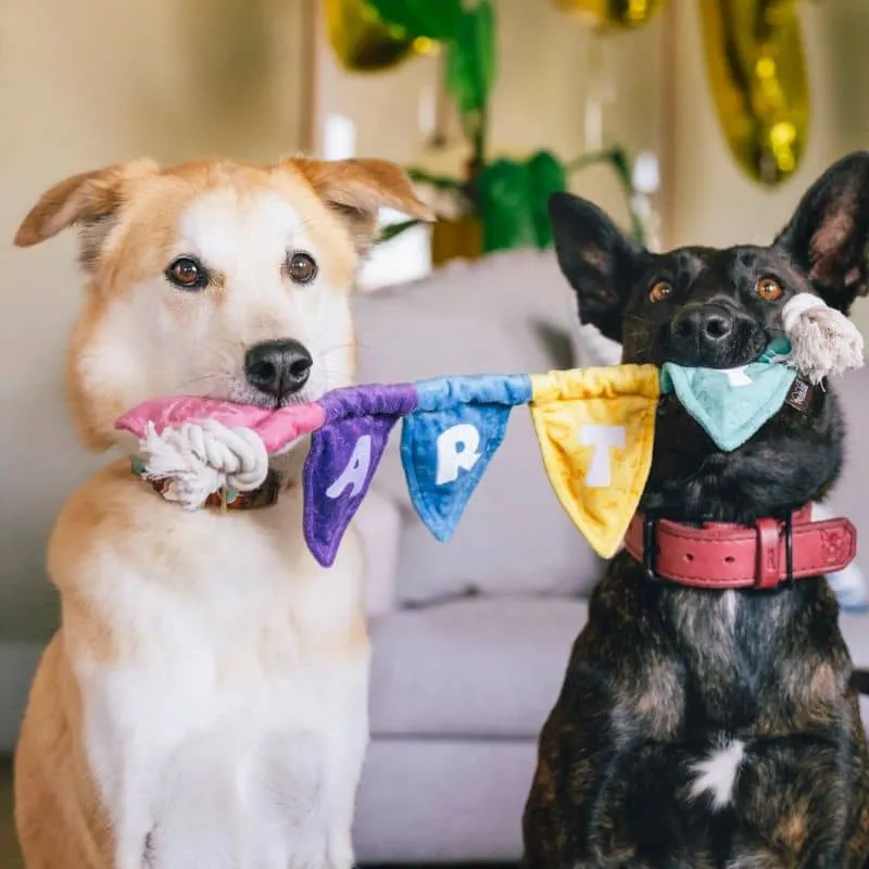 PELUCHE POUR CHIEN - GUIRLANDE DE FANIONS