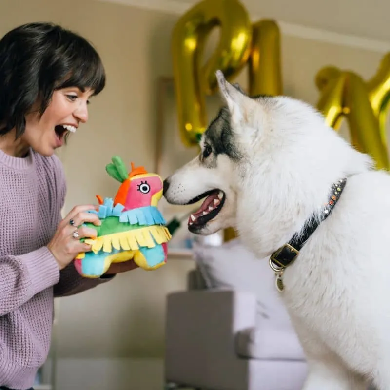 PELUCHE POUR CHIEN - PINATA