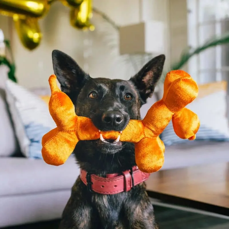 PELUCHE POUR CHIEN - BALLON EN FORME DE CHIEN