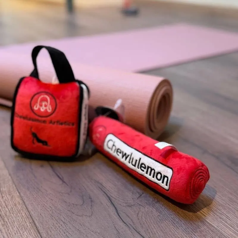 PELUCHE POUR CHIEN - SAC DE SPORT CHEWLULEMON